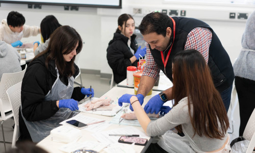 Будущий врач (Imperial College)